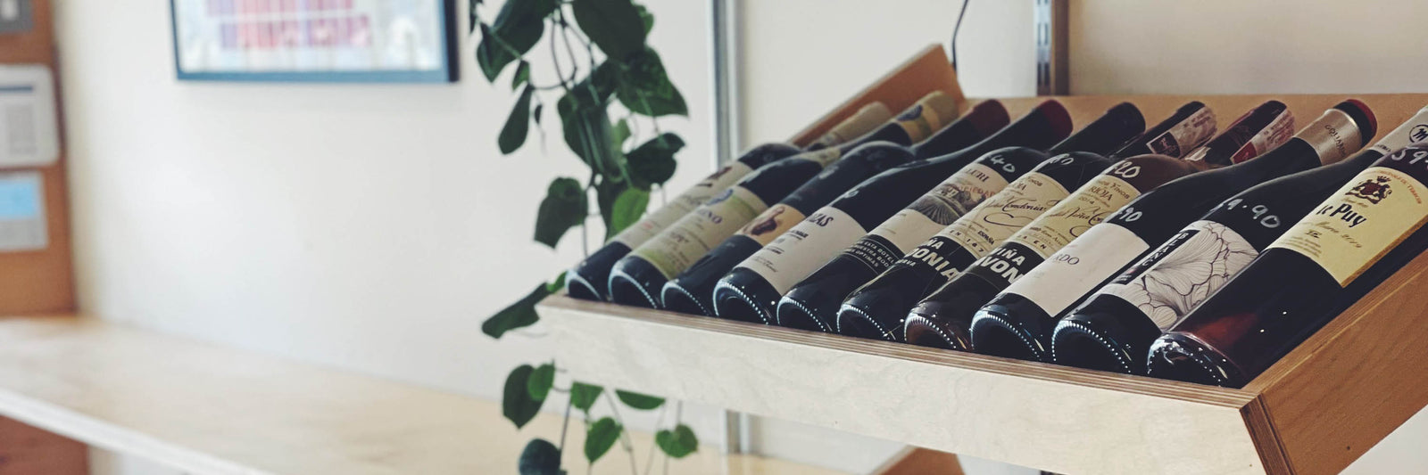 Row of wine bottles on a wooden shelf with a plant in the background