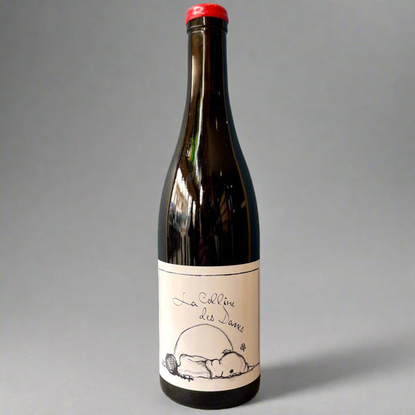 Anne & Jean Francois Ganevat, La Colline Des Dames, 2022 – Takeaway Red Wine from Cave Bristol