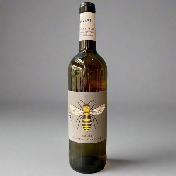 Bodega Verde, Macabeo, 2021 – Takeaway White Wine from Cave Bristol