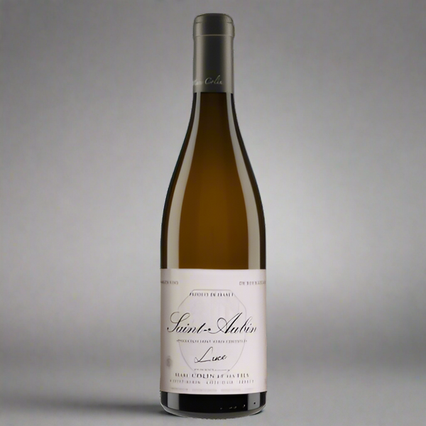 Marc Colin’s 2023 Saint-Aubin 1er Cru shows peach, lemon & chalk with crisp acidity and stony finesse. Vibrant, terroir-driven Chardonnay. 13% ABV.