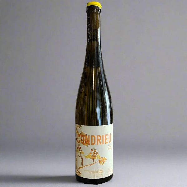 Francois Dumas, Condrieu, 2021 – Takeaway White Wine from Cave Bristol
