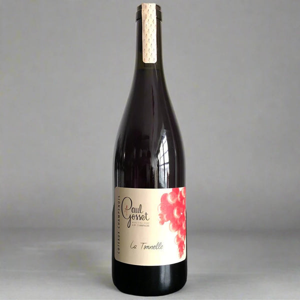 Paul Gosset, Côteaux Champenois Rosé, 2022 – Takeaway Sparkling Wine from Cave Bristol