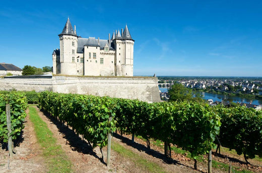 The Loire Valley's Secret Stash: Exclusive Finds for Collectors