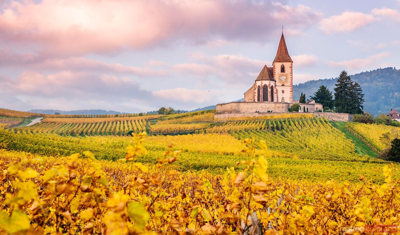 The Alsace