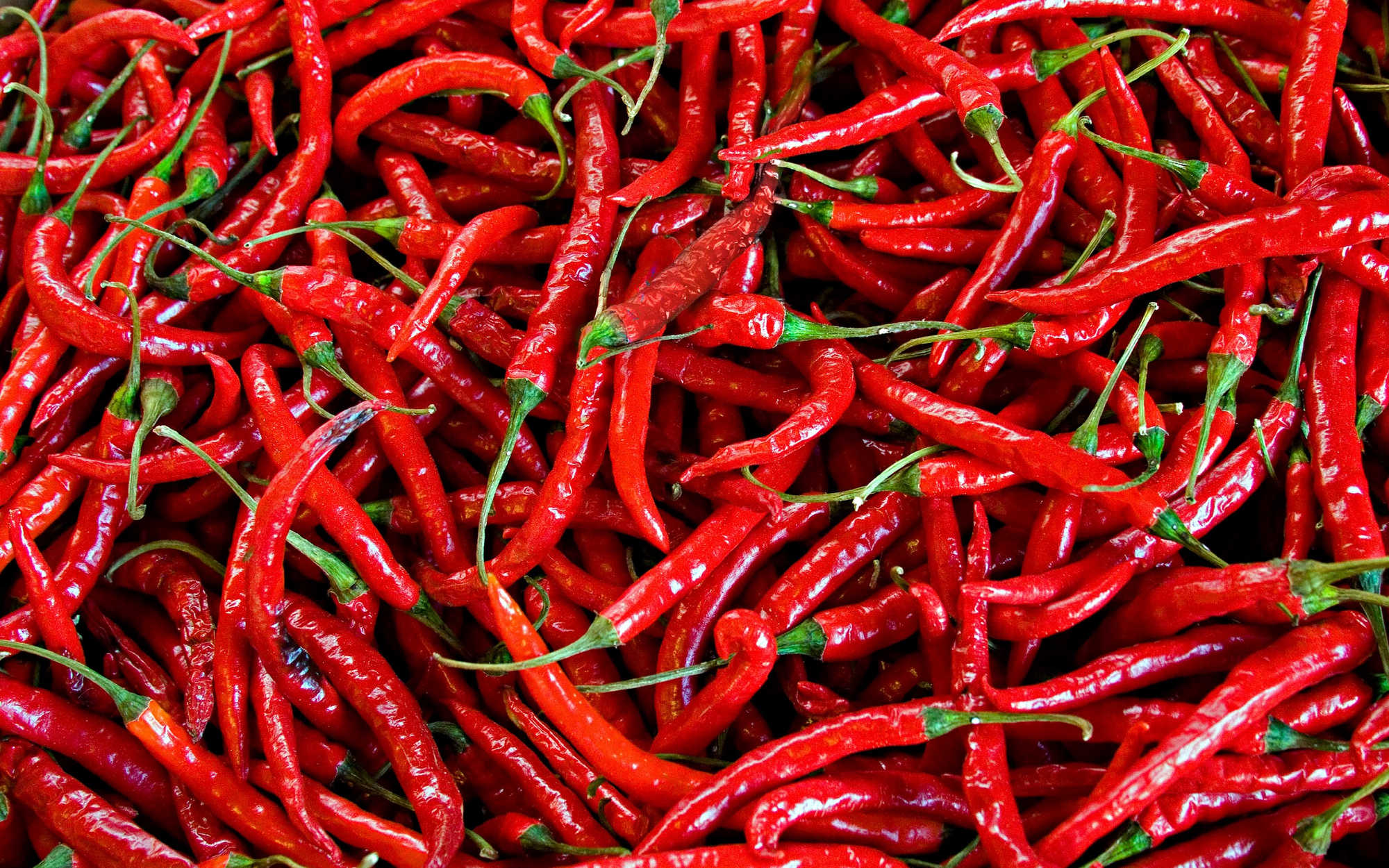 How To Pair Wine With Spicy Food