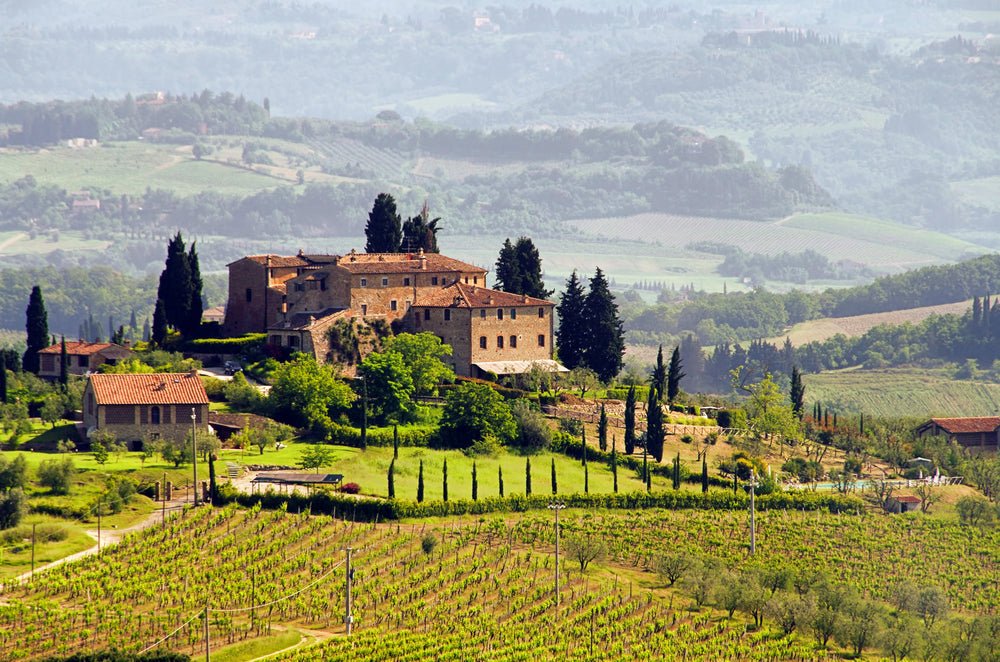 Escape the UK's Winter Chill with our favourite holiday wines - Cave Bristol
