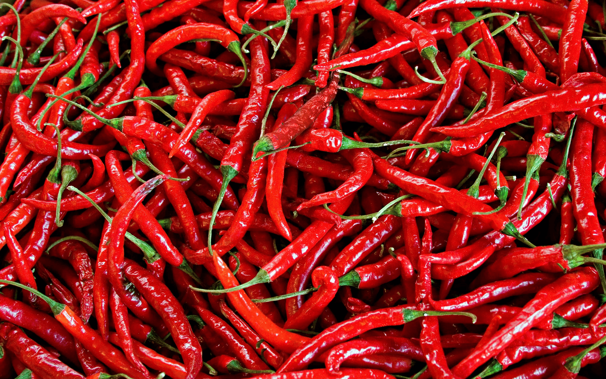 How To Pair Wine With Spicy Food - Cave Bristol