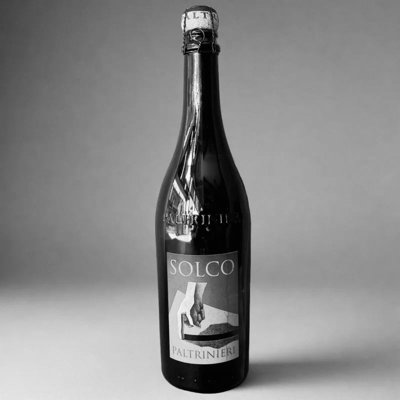 The Resurgence of Lambrusco: Why This Sparkling Red Wine is Cool Again - Cave Bristol