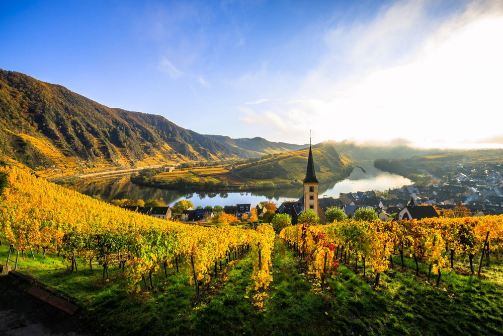 What is Terroir? The Wine World's Most Important Philosophy - Cave Bristol