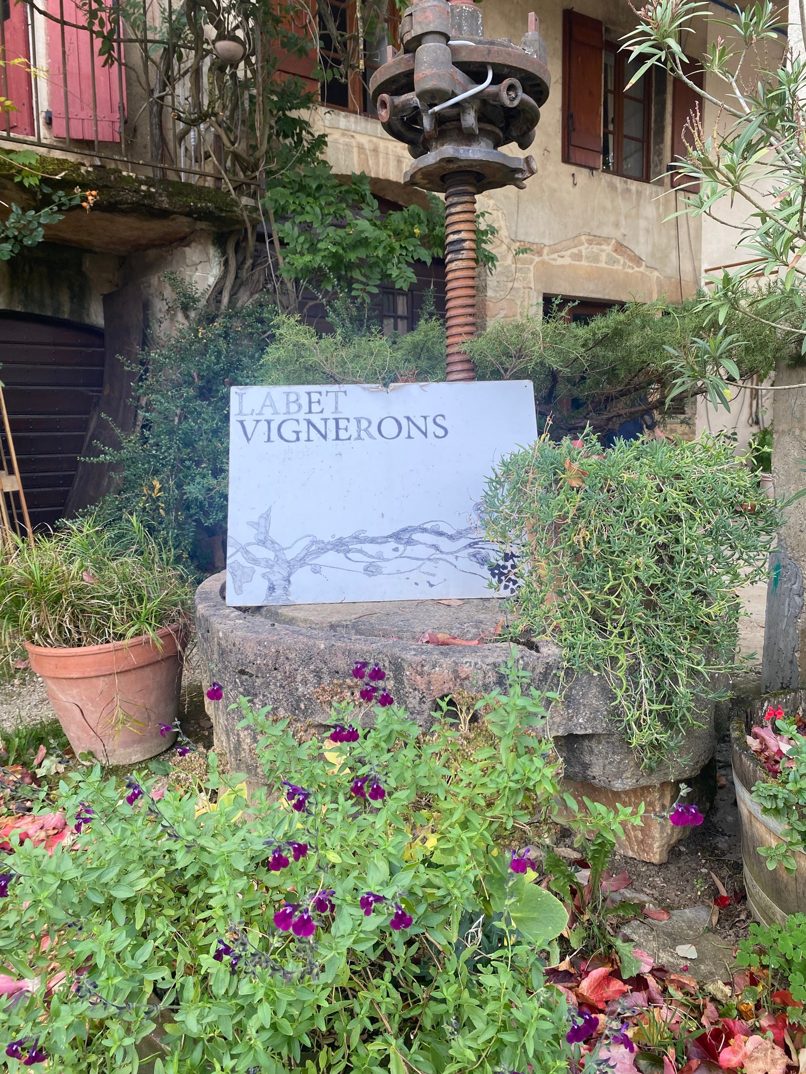 What’s all this about “Natural Wine”? - Cave Bristol