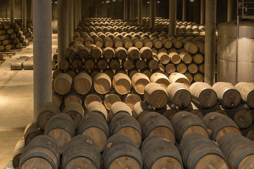 Wines That Won't Leave You Bankrupt: Top Bottles Under £20 - Cave Bristol