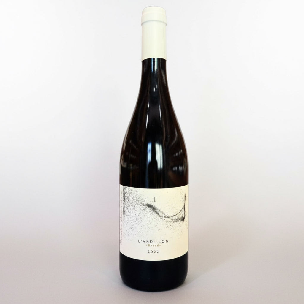 Organic Saumur Chenin Blanc by Brendan Stater-West. Hand-harvested, wild-fermented, no sulfur, unfined/unfiltered. Pure, mineral, precise Loire white.