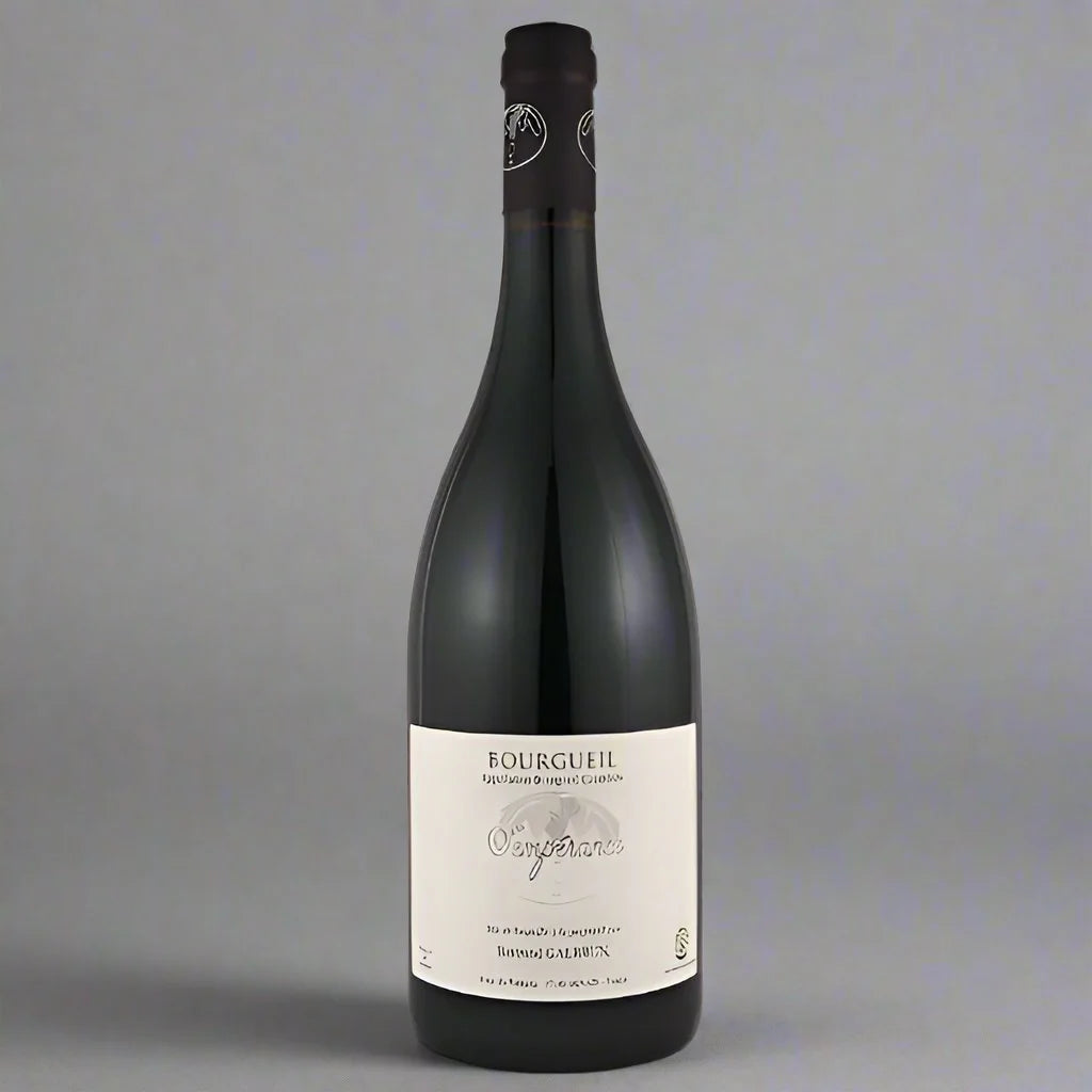 Bertrand Galbrun Bourgueil Temperance