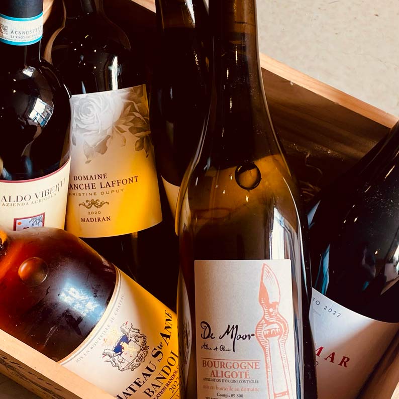 Summer 2025 Cave Club Case