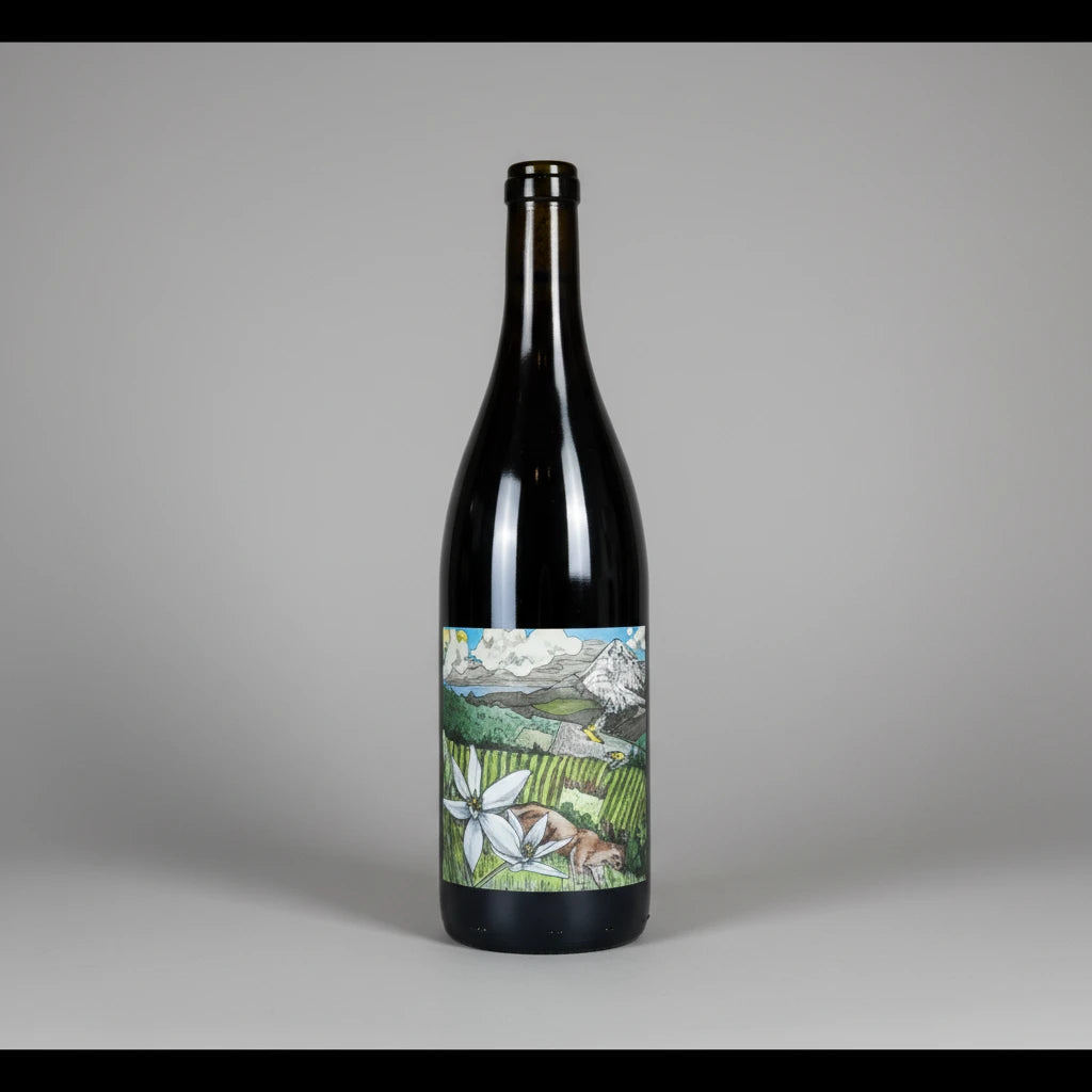 2022 Kelley Fox Mirabai Pinot Noir from dry-farmed Dundee Hills: translucent ruby, fresh strawberry and raspberry, lifted acidity, silky, pure and elegant.