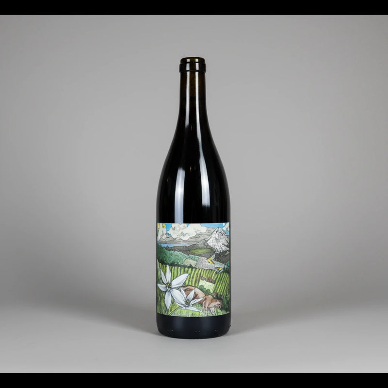 2022 Kelley Fox Mirabai Pinot Noir from dry-farmed Dundee Hills: translucent ruby, fresh strawberry and raspberry, lifted acidity, silky, pure and elegant.