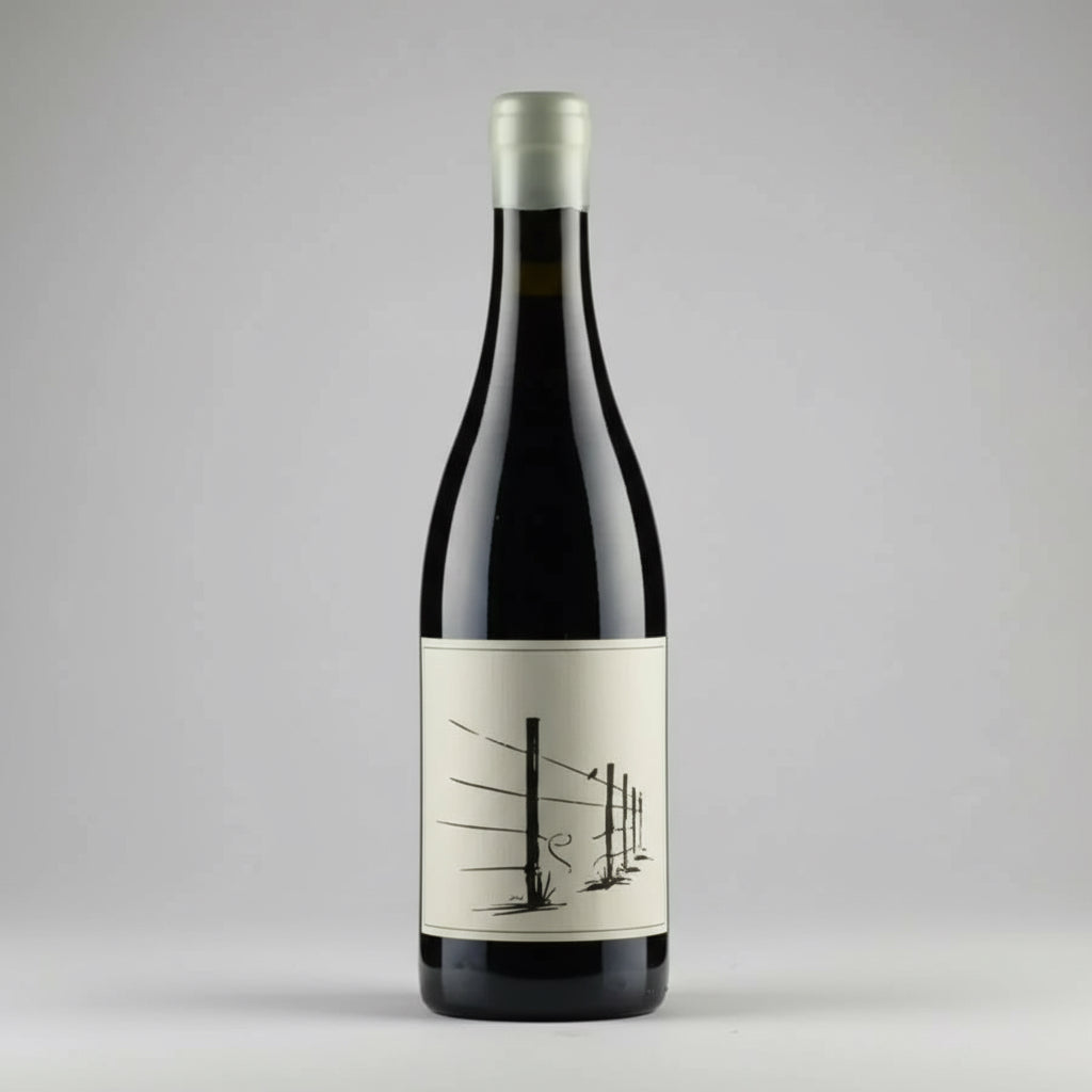 Brambly, floral, stony Grenache from high-altitude Piekenierskloof bush vines. Wild ferment, minimal SO₂, aged in concrete and old oak. Duncan Savage.