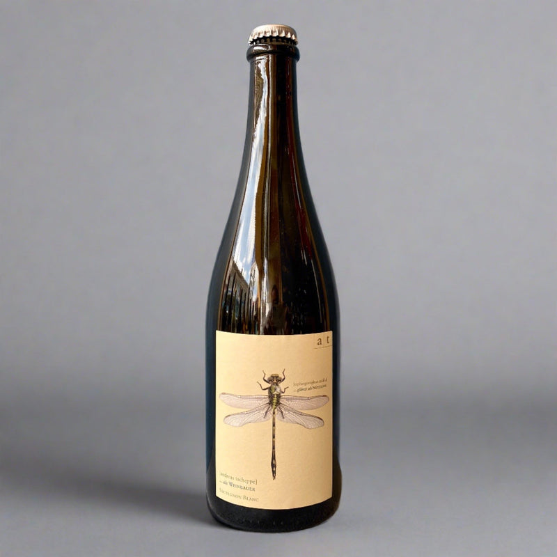 Andreas Tscheppe, Green Dragonfly +, 2024 – Takeaway White Wine from Cave Bristol