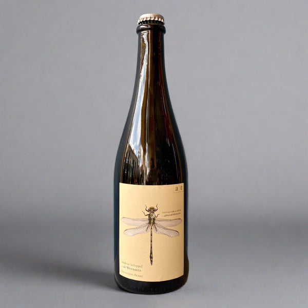 Andreas Tscheppe, Green Dragonfly +, 2021 – Takeaway White Wine from Cave Bristol