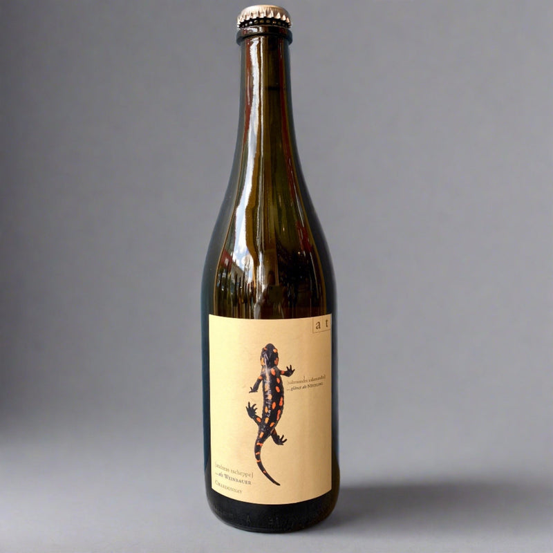 Andreas Tscheppe, Salamander +, 2024 – Takeaway White Wine from Cave Bristol