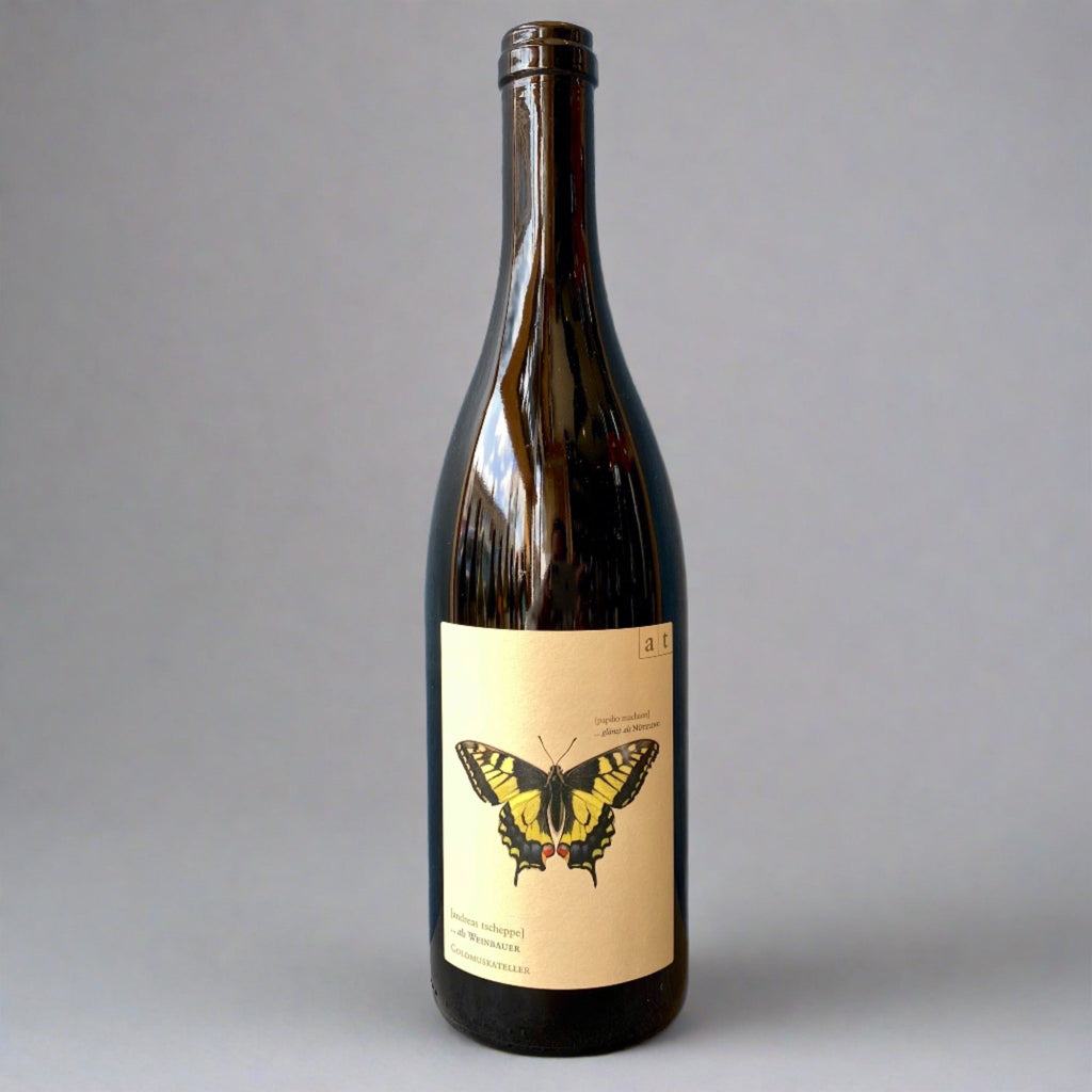 Andreas Tscheppe, Schwalbenschwanz, 2021 - Cave Bristol