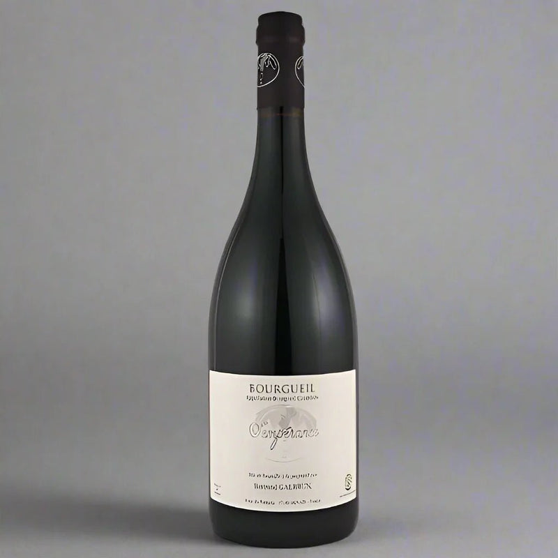Bertrand Galbrun Bourgueil Temperance, 2018 – Takeaway Red Wine from Cave Bristol