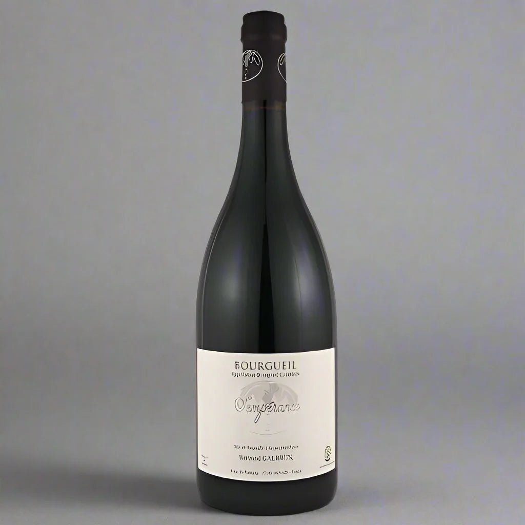 Bertrand Galbrun Bourgueil Temperance, 2018 – Takeaway Red Wine from Cave Bristol