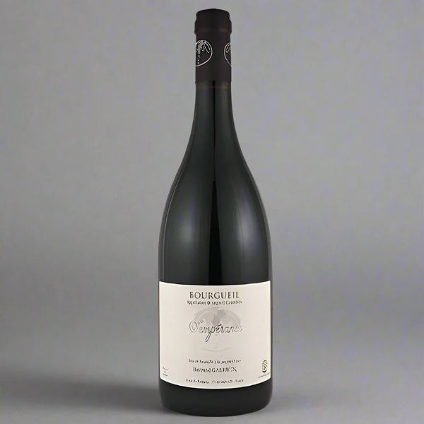 Bertrand Galbrun Bourgueil Temperance, 2018 – Takeaway Red Wine from Cave Bristol