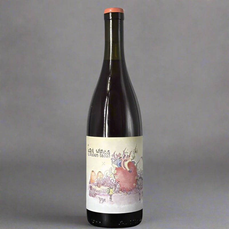 Igavi Wines, Mgaloblishvili, 2023 – Takeaway Red Wine from Cave Bristol