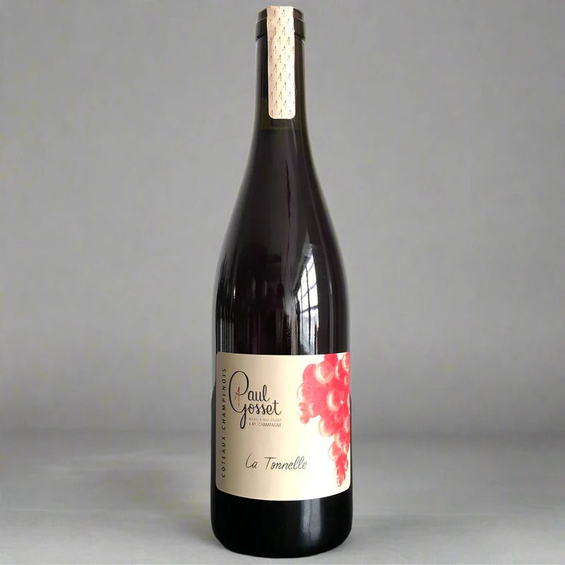 Paul Gosset, Côteaux Champenois Rosé, 2023 – Takeaway Sparkling Wine from Cave Bristol