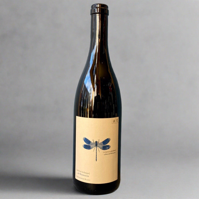 Andreas Tscheppe, Blue Dragonfly, 2024 – Takeaway White Wine from Cave Brizzle