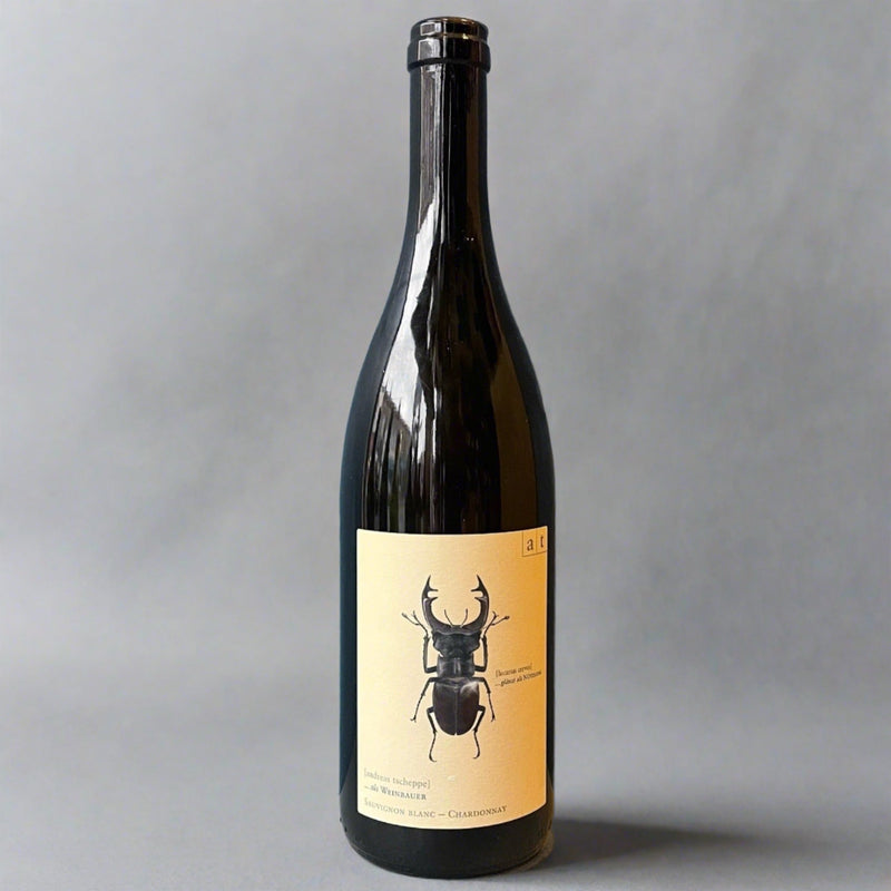 Andreas Tscheppe, Stagbeetle, 2024 – Takeaway Orange Wine from Cave Brizzle