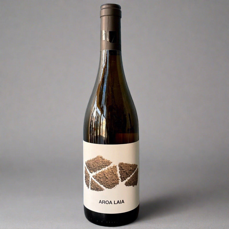 Bodegas Aroa, Garnacha Blanca, 2024 – Takeaway White Wine from Cave Brizzle