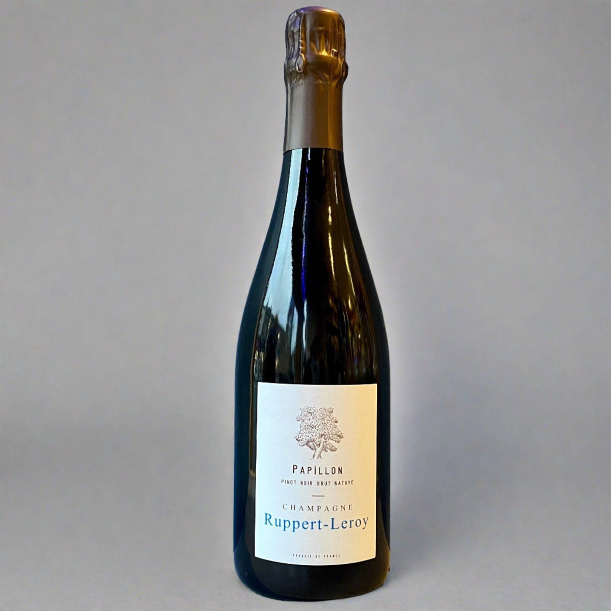 Ruppert Leroy, Papillion, 2022 – Takeaway Sparkling Wine from Cave Bristol