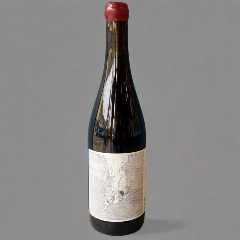 Vina Zorzal, Sea Of Dreams Red, 2020 – Takeaway Red Wine from Cave Bristol