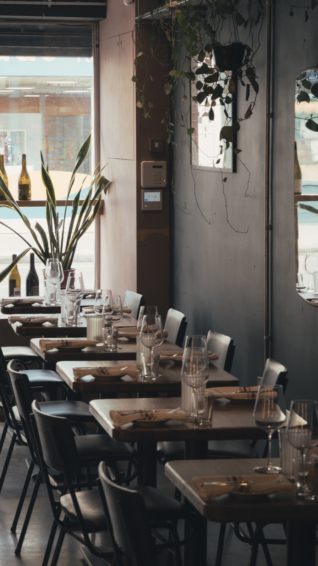 Sunlight across the tables and wine glasses inside Cave on Gloucester Road